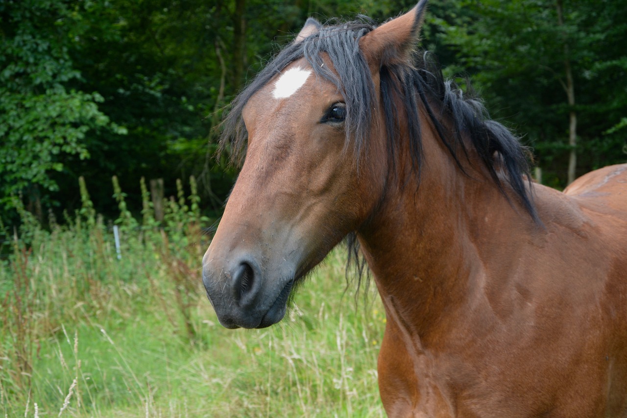 4949澳門特馬今晚開獎53期,圖庫動態(tài)賞析_73.36.21經(jīng)濟版