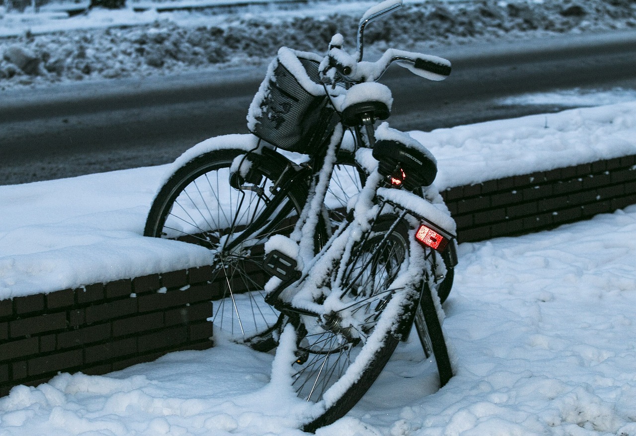 廈門(mén)單車(chē)，萬(wàn)輛騎行繁華與綠色出行探索